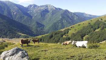 Франція «Корсика GR20» (похід)