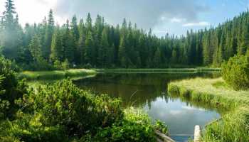 Карпати «Магія Чорногір» (притулок)