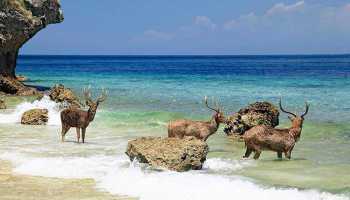 Індонезія «Країна тисячі островів»