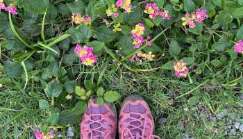 Азори «Смарагдові острови»