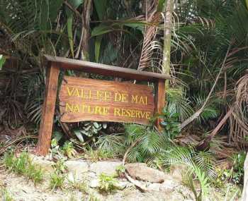 Острів Праслен: нацпарк Валле-де-Ме - ферма чорних перлів - трекінг до пляжів Анс Лаціо та Анс Жоржет Дні 5 та 6