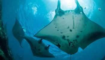 Індонезія «Країна тисячі островів»