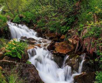 Ворохта - Дземброня - Смотрицькі водоспади - м. Вухатий камінь День 1