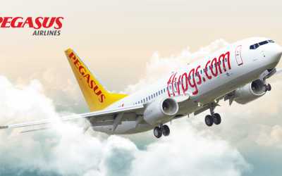 Пошаговая инструкция по покупке билетов PEGASUS (2)