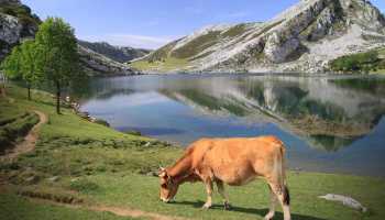 Іспанія «Первинний Шлях Сантьяго»