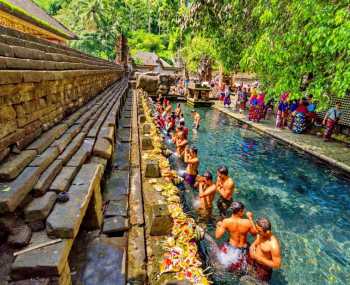 Home sweet home День 14