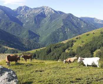 Vizzavona → Capannelle День 10