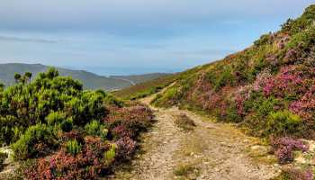 Испания «Изначальный Путь Сантьяго»