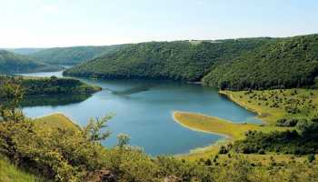 Кам'яні квіти Поділля і Бакота (зі СПА)